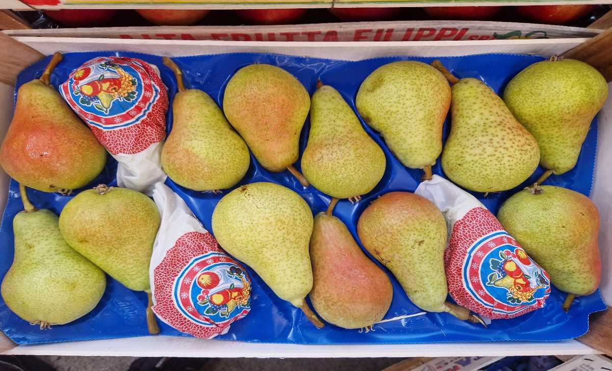Pere Carmen cal.16 - Italia, prezzo 2,20-2,40 euro/kg
